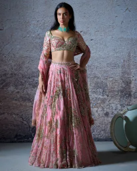 Astha Lehenga Set