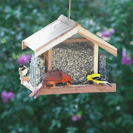 Bird Feeder - Deluxe Chalet