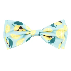 Bow Tie | Sunny Lemons